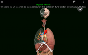 Organes Internes en 3D (Anatomie) screenshot 16