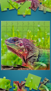 Tiere Puzzle Spielen screenshot 5