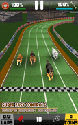 بازی سگ مسابقه حیوانات خانگی screenshot 3