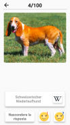 Razze canine - Quiz sui cani! screenshot 2