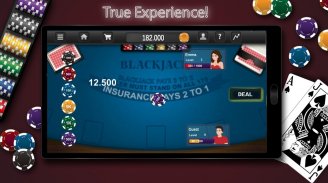 BlackJack 21 Free Card Game screenshot 5