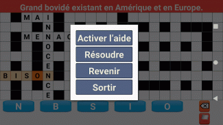 Mots Fléchés en Français screenshot 8