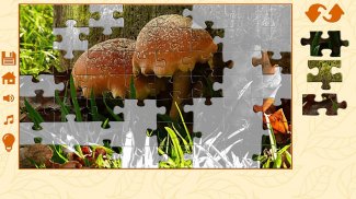 Puzzles autumn screenshot 5