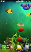 Fishes Live Wallpaper 2020 - Aquarium Koi Bgs screenshot 6