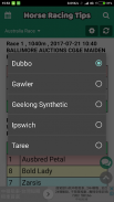 Horse Racing Tips - Computer Data Calculations screenshot 3