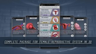 Female Reproductive System 3D screenshot 1