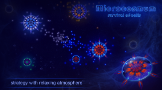 Microcosmum: survival of cells screenshot 2
