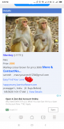 Pets For Sale – Animals, Puppies, Dogs For Sale screenshot 0
