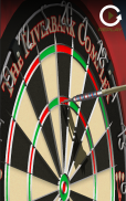 Bulls i Darts: Masters Edition screenshot 23