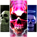 Skulls Wallpapers Icon