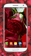 Red Roses Live Wallpaper HD screenshot 5