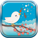 Bird Sounds Free Ringtones