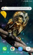 Golden Owl Live Wallpaper screenshot 2