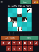 Animals Quiz Guess and learn screenshot 12