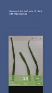 ညှာ 2: အရွက်ဧရိယာ / Petiole 2: Leaf Area screenshot 1