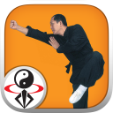 Shaolin Kung Fu Icon