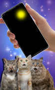 Moving laser pointer for cats (PRANK) screenshot 1