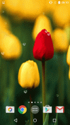 Flowers Live Wallpaper screenshot 2