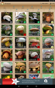 Atlas grzybów screenshot 8