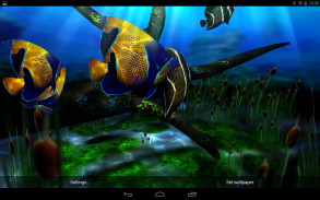 My 3D Fish II screenshot 10
