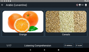 Levantine Arabic Tests screenshot 2