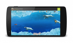 Wonder Fish Permainan Free HD screenshot 2