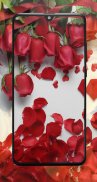 Spring Flowers Wallpapers screenshot 13