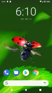 Bugs Life 3D Free - 3D Live Wa screenshot 5