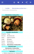 Mushrooms screenshot 13