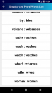 Singular and Plural Words List screenshot 1