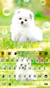 Cute White Puppy Keyboard Background screenshot 2