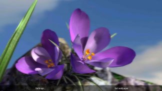 Nature Live ❁ Spring Flowers 3D screenshot 3