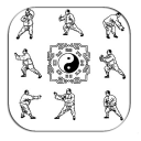 Technique Gallery Of Tai Chi