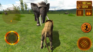 Echt Lion Simulator 3D screenshot 7