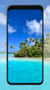 Palm Tree Wallpapers screenshot 6