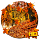 Autumn Season APUS Live Wallpaper Icon