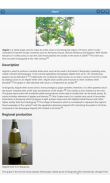 Grape varieties screenshot 5