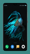 Betta Fish Wallpapers 4K screenshot 7