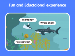 Learn Ocean Animals for kids screenshot 11