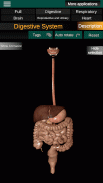 Órganos 3D (anatomía) screenshot 12