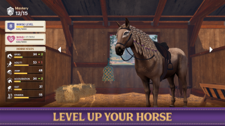 Star Equestrian - Horse Ranch screenshot 3