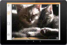 Cats Gallery & Memes Generator screenshot 11