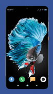 Betta Fish Wallpaper HD screenshot 2