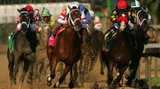 Horse Racing Wallpapers screenshot 11