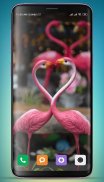 Flamingo Wallpaper HD screenshot 4