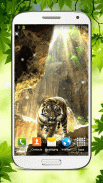 Tiger Papel de Parede Animado screenshot 3