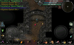 9th Dawn II 2 RPG screenshot 8