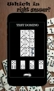 Domino Test screenshot 0