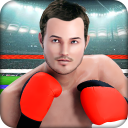 Punch Boxing Fighting Crush 3D Icon