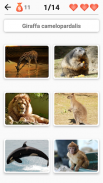Animales: mamíferos, pájaros! screenshot 0